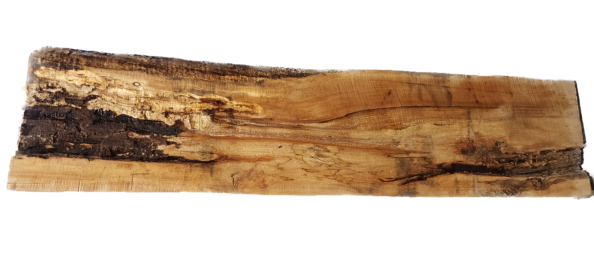 Maple Live Edge #074