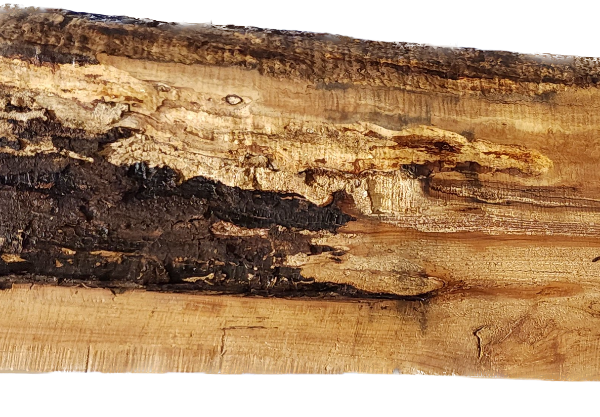 Maple Live Edge #074