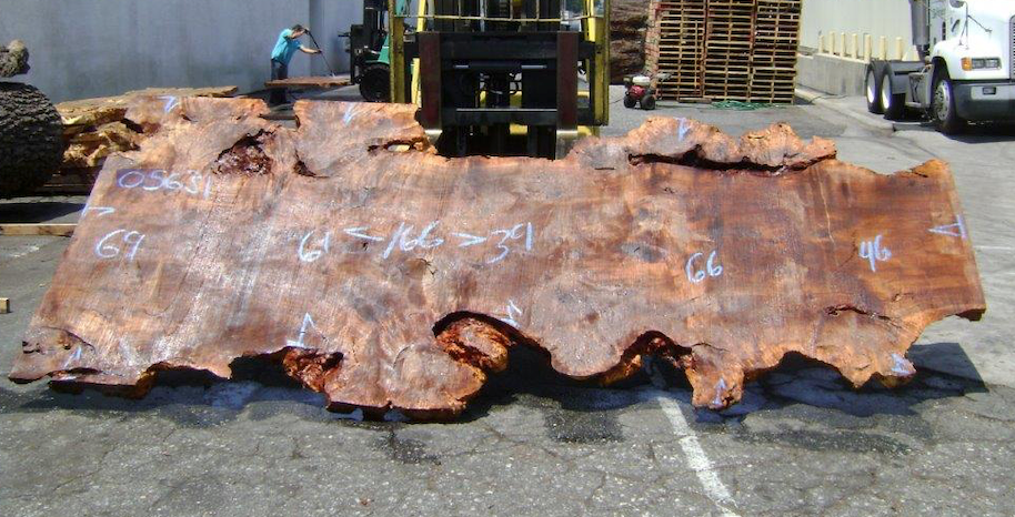 Willow Slab #05631