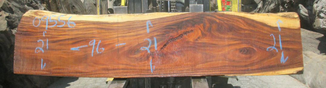 Monkeypod Live Edge #09556