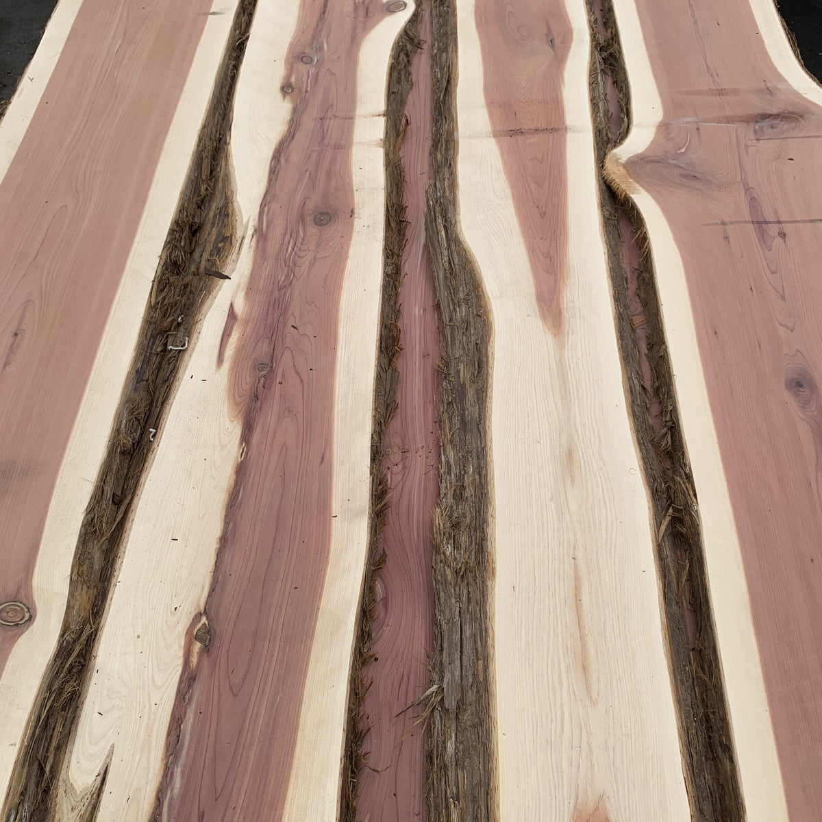 Aromatic Cedar Live Edge Lumber 5/4