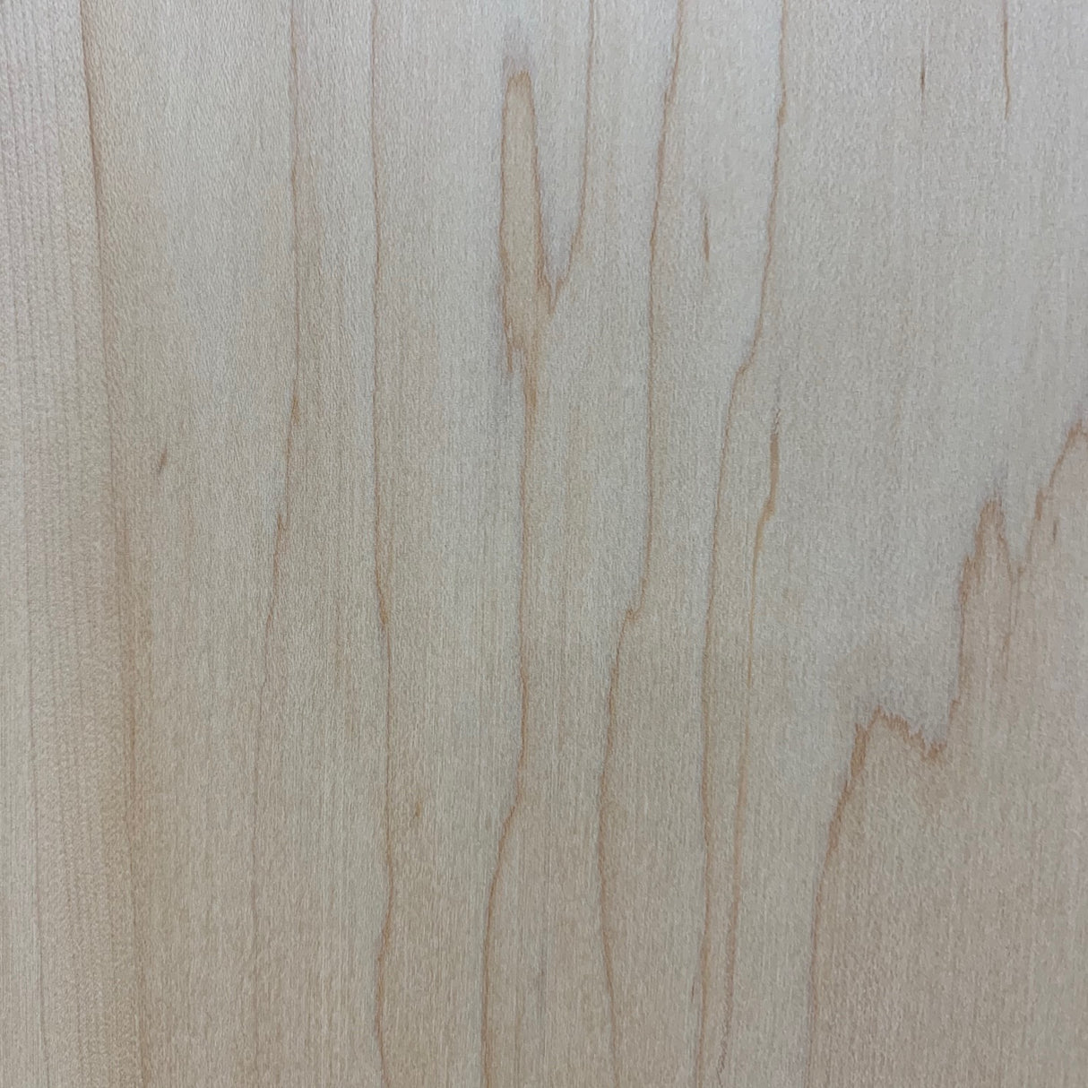 Maple Eastern Hard Stain Grade 8/4